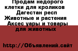 Продам недорого клетки для кроликов  - Дагестан респ. Животные и растения » Аксесcуары и товары для животных   